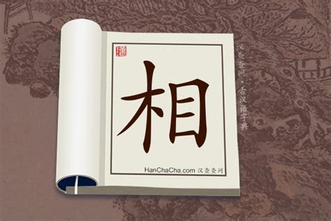 相用法|古汉语“相”字用法